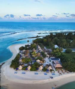 The Maverick Surf and Dive Boutique - 21