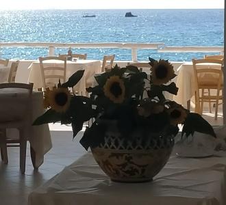 Villaggio Agrumeto - 25