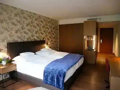 Best Western Premier Rebstock - 175