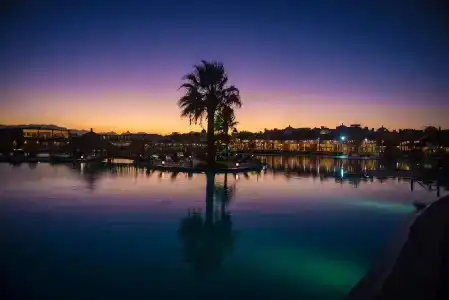 Sunrise Royal Makadi Resort - 10