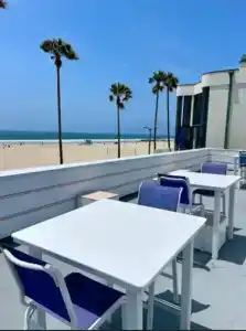 Venice on the Beach - 90