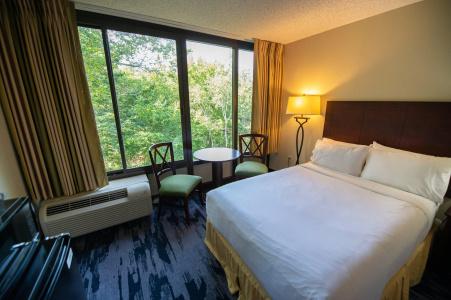 Holiday Inn Regency, An Ihg - 27