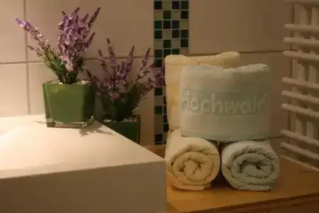 Hochwald - 16