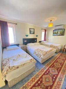 Sevin Pension - 30