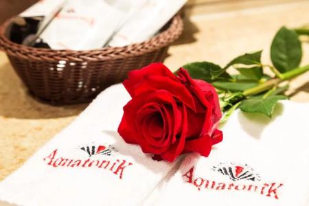 Balneo Complex & Spa Aquatonik - 20