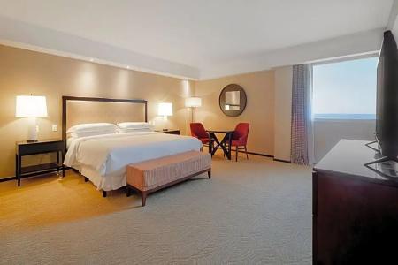 Sheraton Grand Rio & Resort - 262