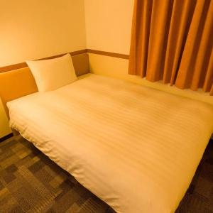 Toyoko Inn Ekimae - 15