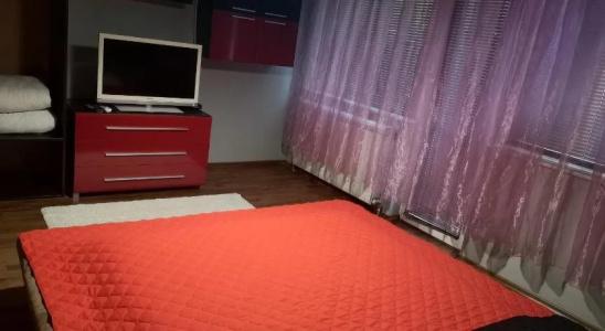 Vival - 2