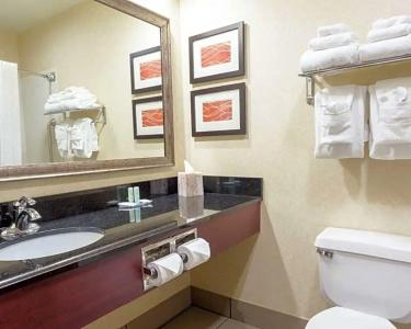 Comfort Inn Civic Center - 64