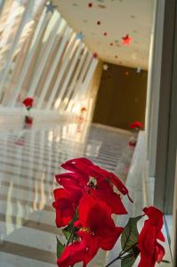 Hilton Alexandria Green Plaza - 25