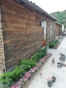 Lime Tree Houses - 32