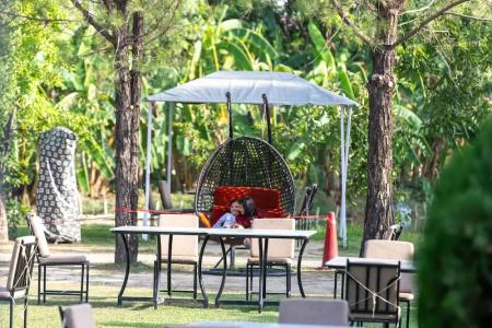 Dreamland Gold Resort & - 49