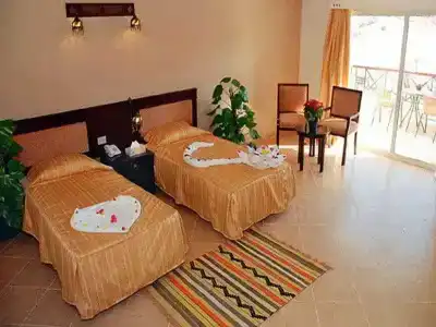 Falcon Naama Star - 37