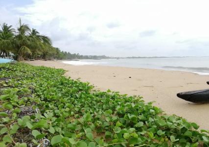 Mars Tangalle - 16