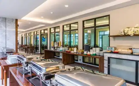 Olive Tree - 18