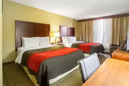Comfort Inn Downtown - 29