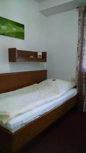 Pension Haus Diefenbach - 2