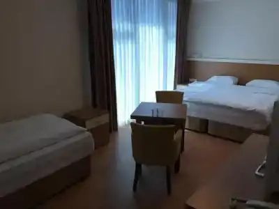 Emsa Palace - 35