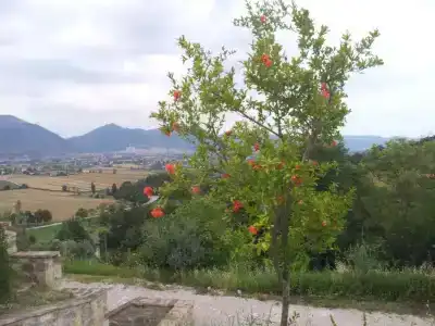 Fonte Chiara - 33