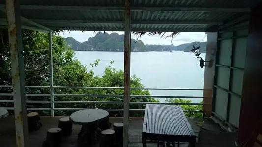 Monkey Island Resort - 52