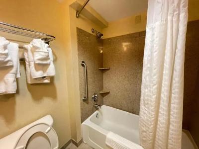 Comfort Suites North - 87