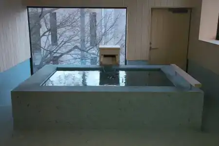 Arima Onsen Takayamaso Hanano - 151