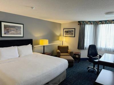 Ramada Plaza Airport and Conference Centre - 24