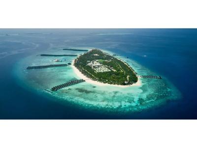 The Beach House Collection at Siyam World - 37