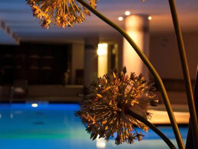 Parc Beaumont & Spa Pau - MGallery - 24