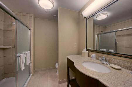 Hampton Inn & Suites-Bricktown - 8