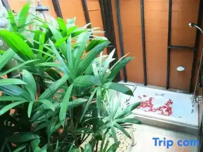 Sunset Park Resort And Spa - Sha Plus - 192