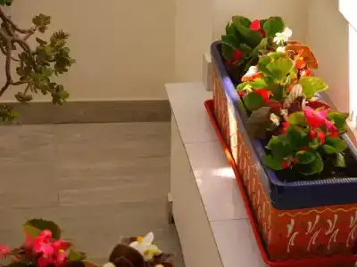 Maravillas del Mundo - 10