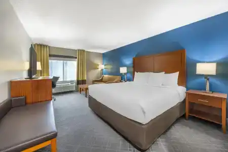 Comfort Inn & Suites West - Lookout Mountain - 4