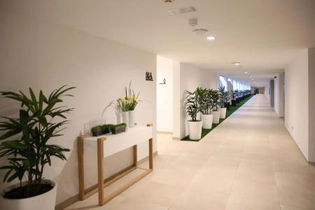 Santa Mónica Suites - 14