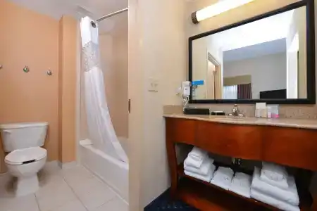 Hampton Inn and Suites South - 7