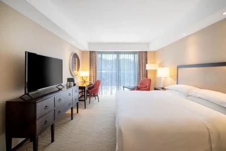 Sheraton Grand Rio & Resort - 90