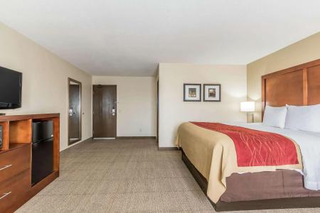 Comfort Inn Nashville West - 3