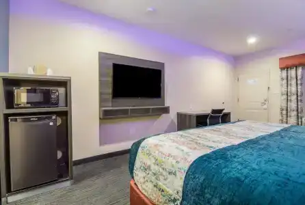 Scottish Inn & Suites Houston Willowbrook - 20