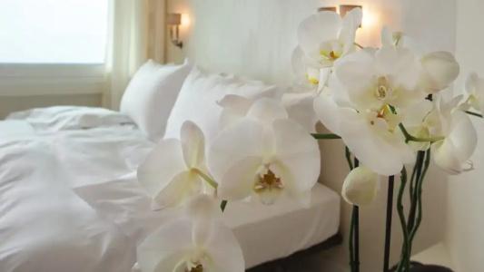 Villa Orselina - Small Luxury - 56