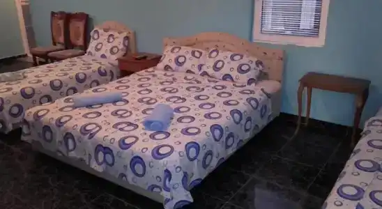 Guest House Dragomir - 24