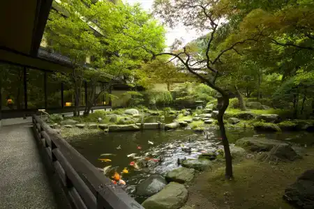 Tachibanaya - 18