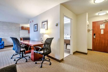 Comfort Inn & Suites South - 11