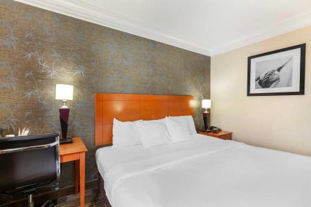 Best Western Inn at the Airport - 4