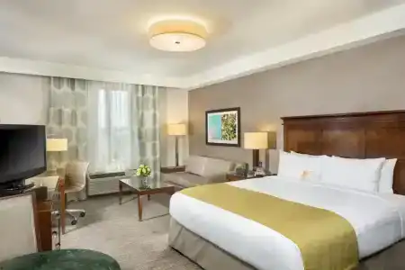 Ayres Anaheim - 23