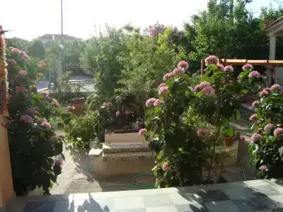 Sappho - 70