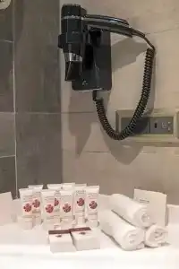Ramada by Wyndham Istanbul Alibeykoy - 26