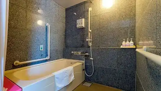 Toyoko Inn Hachinohe Ekimae - 92
