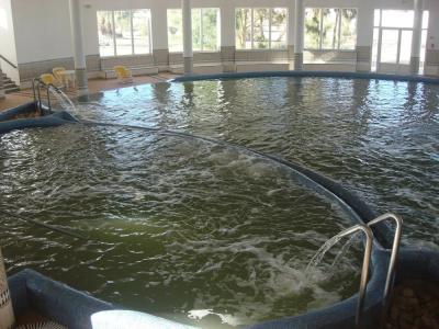 Djerba Grand Des Thermes - 18