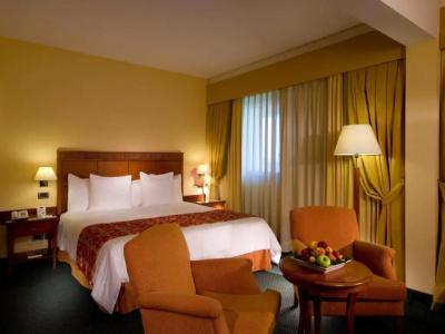 Mercure Leonardo da Vinci Rome Airport - 39