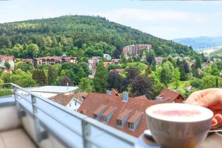 Schwarzwald Panorama - 69